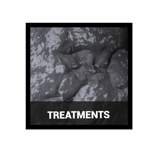Treatments -  Collections- Realness of Beauty